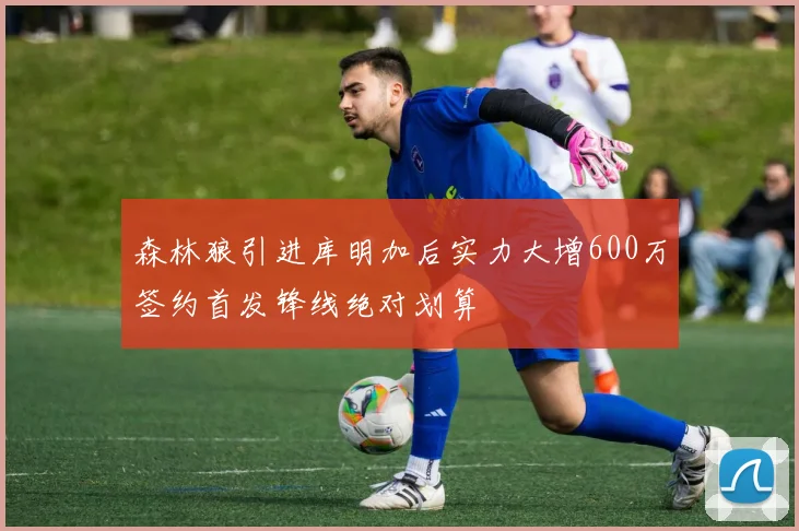 森林狼引进库明加后实力大增600万签约首发锋线绝对划算